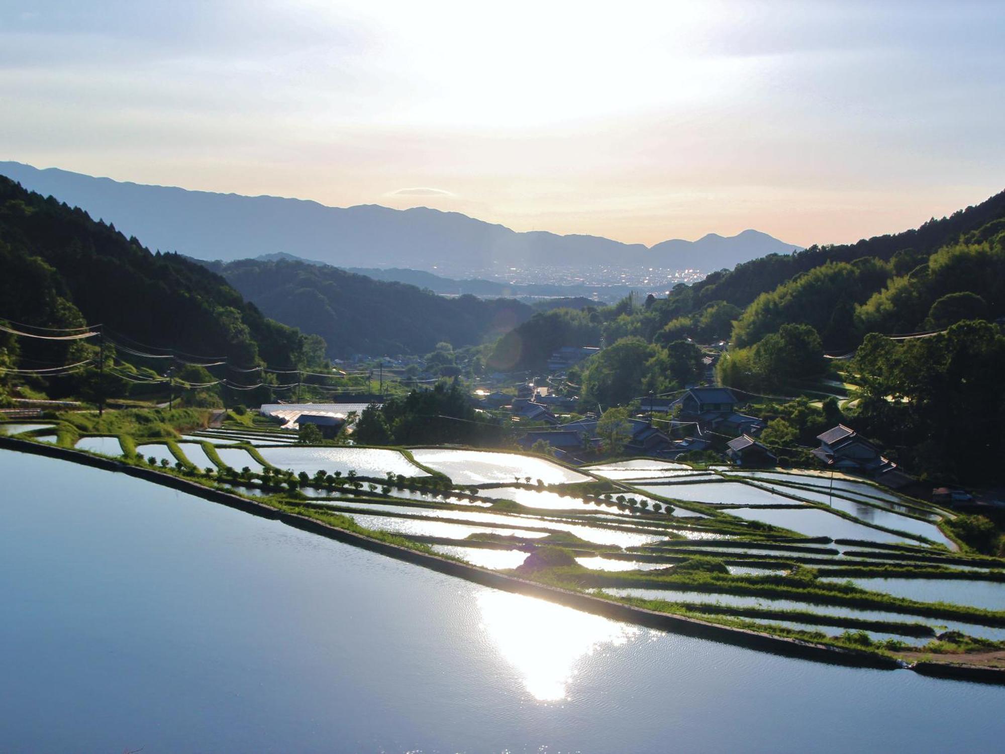 Grand Mercure Nara Kashihara Kashihara  Extérieur photo