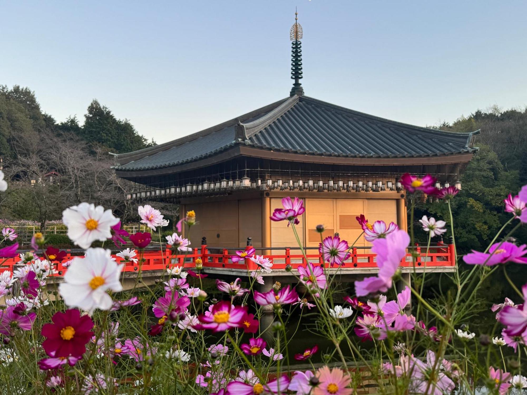 Grand Mercure Nara Kashihara Kashihara  Extérieur photo