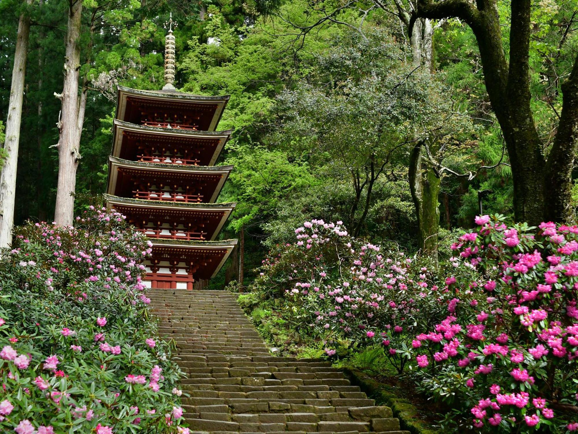 Grand Mercure Nara Kashihara Kashihara  Extérieur photo